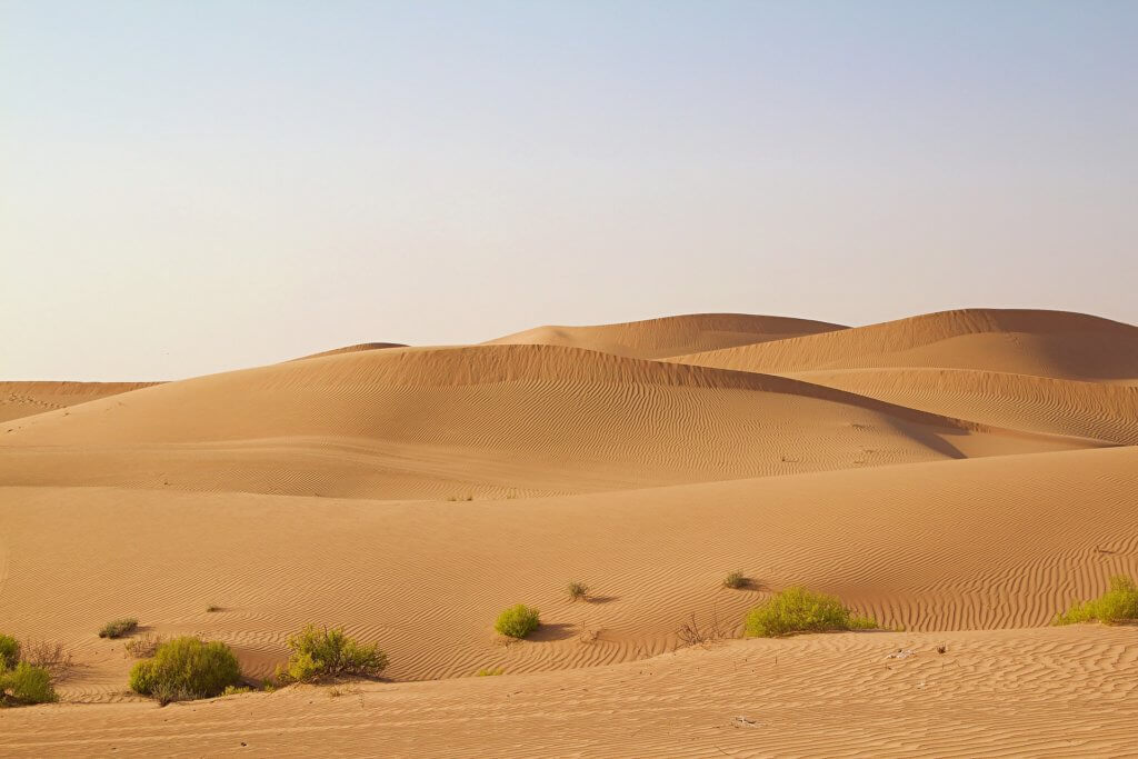 The Desert of Liwa, Abu Dhabi